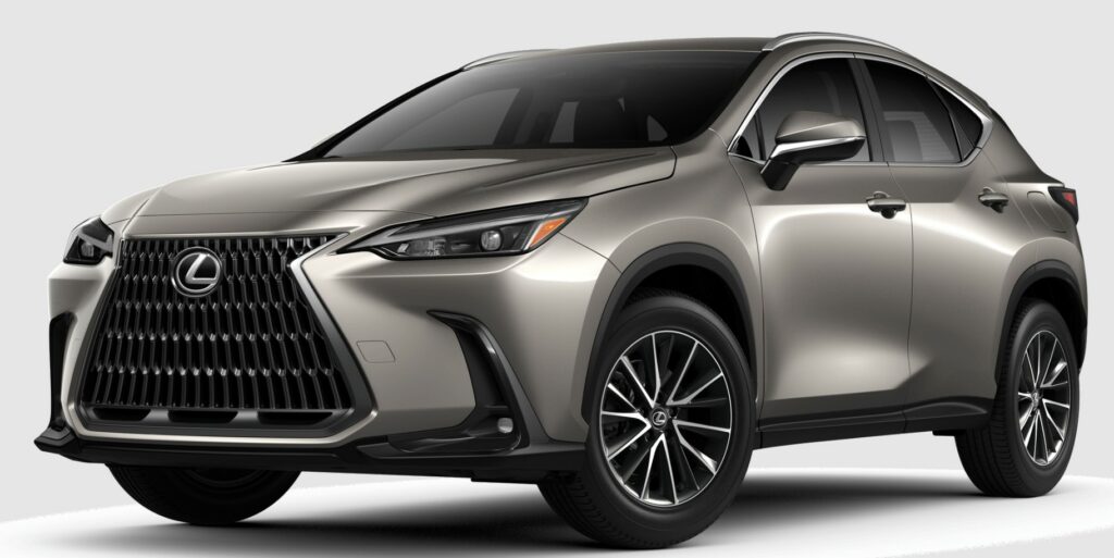 2025 Lexus NX Pictures, Features, MSRP - New Lexus Specs